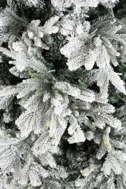 New Bizzotto ALBER BERKSHIRE INN H180-3386R 1300L