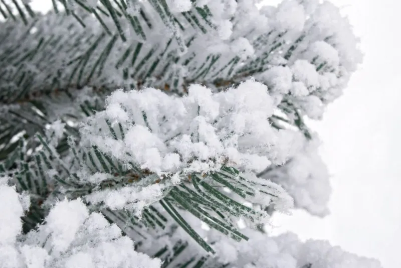 Bizzotto ALBERO INNSBRUCK INNEVATO H60