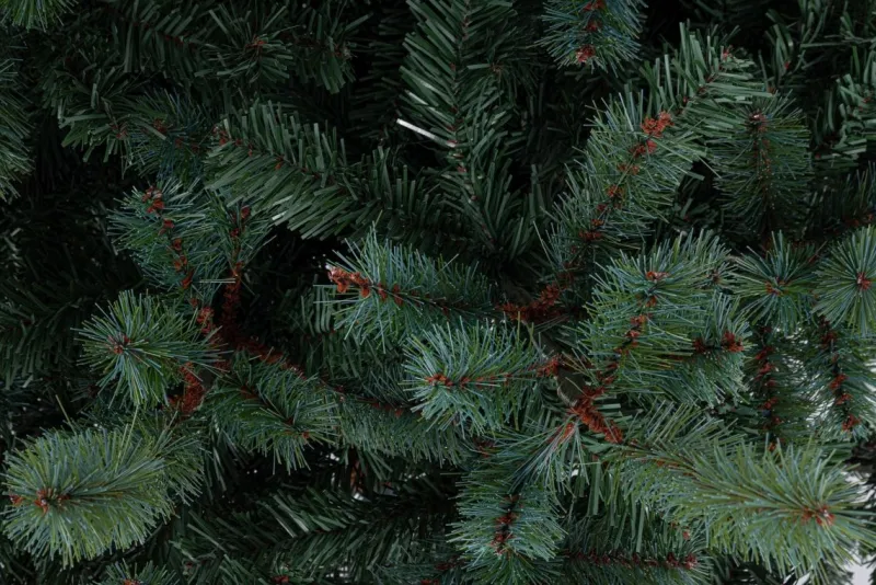 Best Bizzotto ALBERO SERRONE GLAUCO H210-1698RAMI