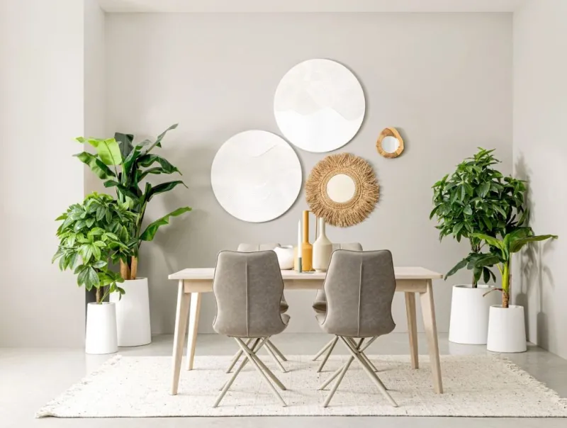 New Bizzotto DIPINTO TEXTURE 031A D90