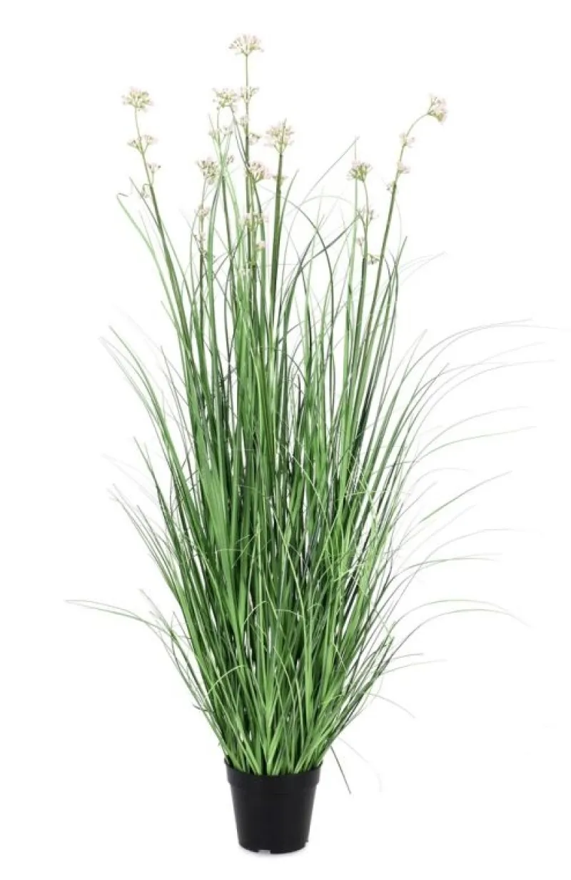 Discount Bizzotto PIANTA ALLIUM C-VASO H110