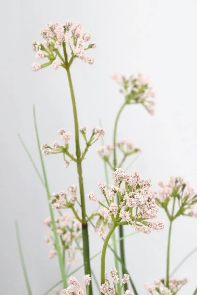 Discount Bizzotto PIANTA ALLIUM C-VASO H110