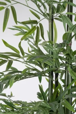 New Bizzotto PIANTA BAMBOO C-VASO H190