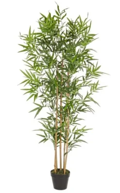 Discount Bizzotto PIANTA BAMBOO C-VASO H155CM