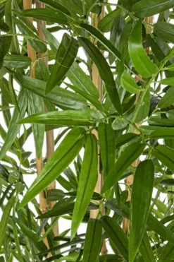 Outlet Bizzotto PIANTA BAMBOO C-VASO H185CM