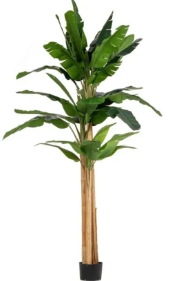 New Bizzotto PIANTA BANANO C-VASO 30FOGLIE H320