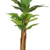 Clearance Bizzotto PIANTA BANANO C-VASO 22FOGLIE H240