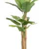 Discount Bizzotto PIANTA BANANO C-VASO 20FOGLIE H200
