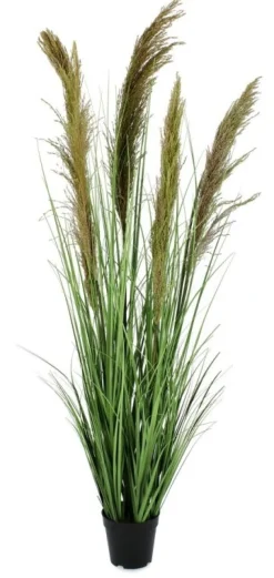 Discount Bizzotto PIANTA CARINE PAMPAS VERD MARR C-VA H145