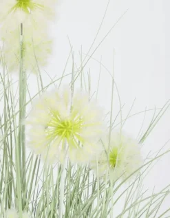 Online Bizzotto PIANTA CEBOLLA BIANCO C-VASO X7F H105