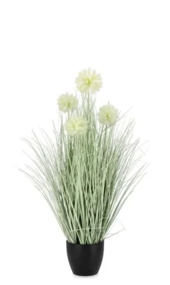 New Bizzotto PIANTA CEBOLLA BIANCO C-VASO X4F H75