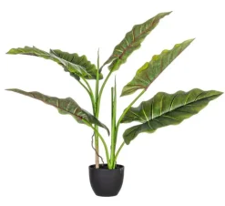 Best Bizzotto PIANTA DIEFFENBACHIA C-VASO 7FOGLIE H78