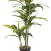 New Bizzotto PIANTA DRACANEA C-VASO 43FOGLIE H88CM