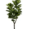 Sale Bizzotto PIANTA FICUS LYRATA C-VASO 60FOGLIE H180