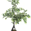Sale Bizzotto PIANTA FICUS VARIEGATO C-VASO X760F H120