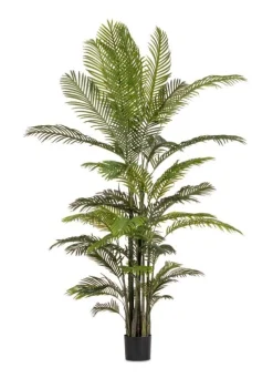 Sale Bizzotto PIANTA KENZIA C-VASO 33FOGLIE H210