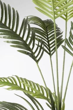 Sale Bizzotto PIANTA KENZIA C-VASO 18FOGLIE H180