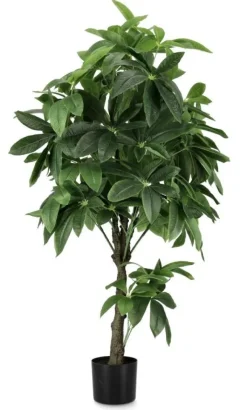 Discount Bizzotto PIANTA PACHIRA AQUATICA C-VASO 360F H160