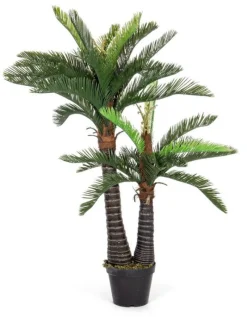 Clearance Bizzotto PIANTA PALMA C-VASO 36FOGLIE 2TR H150