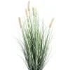 Discount Bizzotto PIANTA PENNISETUM C-VASO H61