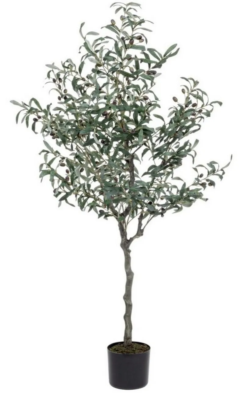 New Bizzotto PIANTA ULIVO C-VASO 984FOGLIE H156
