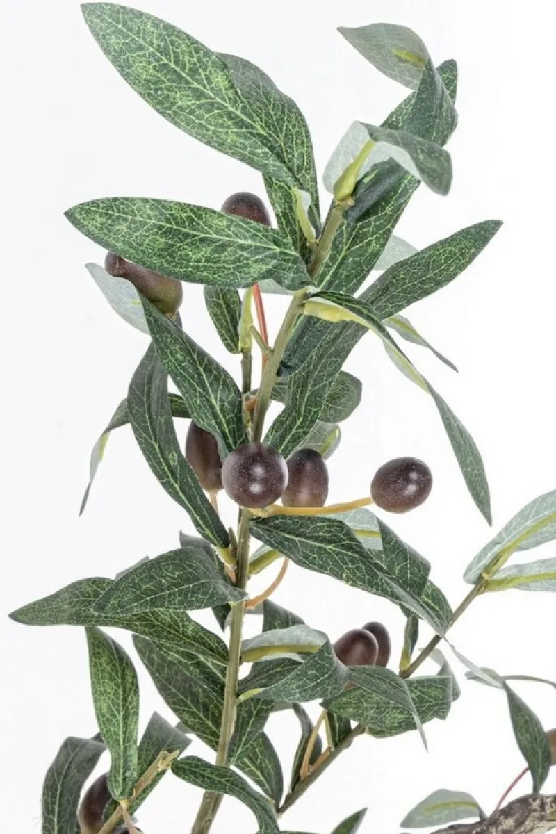 New Bizzotto PIANTA ULIVO C-VASO 984FOGLIE H156