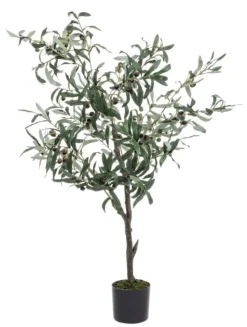 Online Bizzotto PIANTA ULIVO C-VASO 492FOGLIE H120
