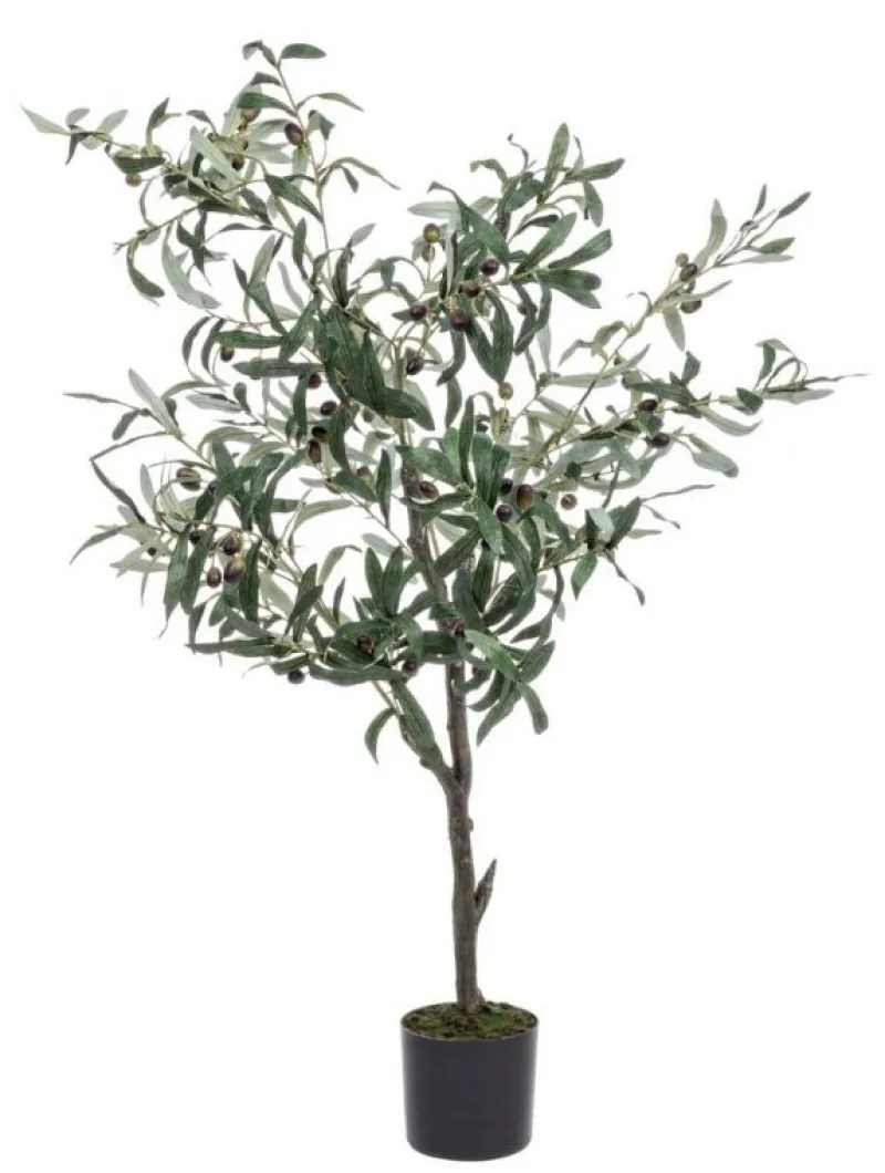 Online Bizzotto PIANTA ULIVO C-VASO 492FOGLIE H120