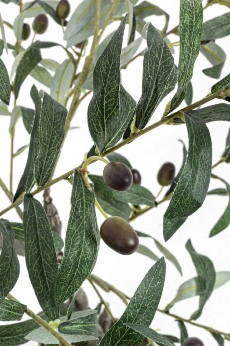 Online Bizzotto PIANTA ULIVO C-VASO 492FOGLIE H120