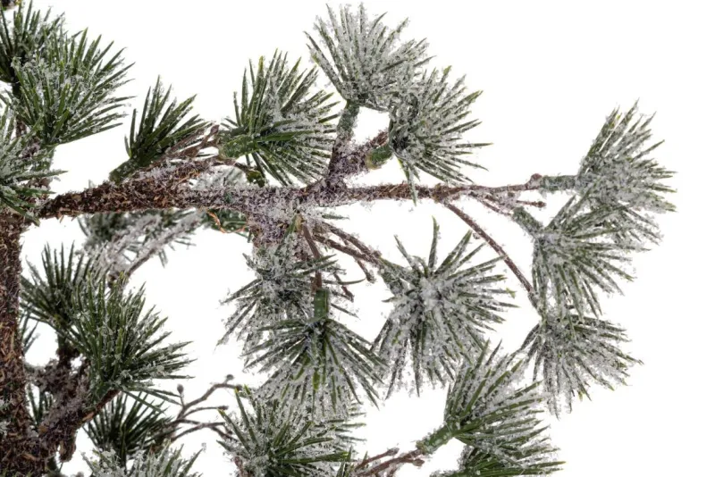 New Bizzotto PINO SNEFFELS GHIACCIATO H90