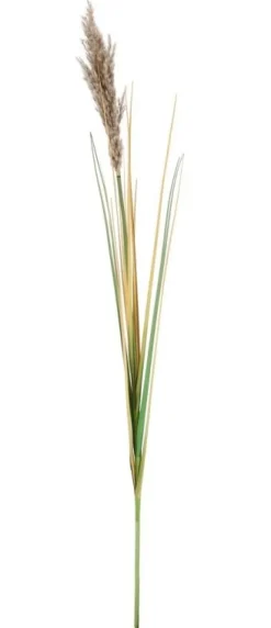 Outlet Bizzotto RAMO GYNERIUM PAMPAS H110