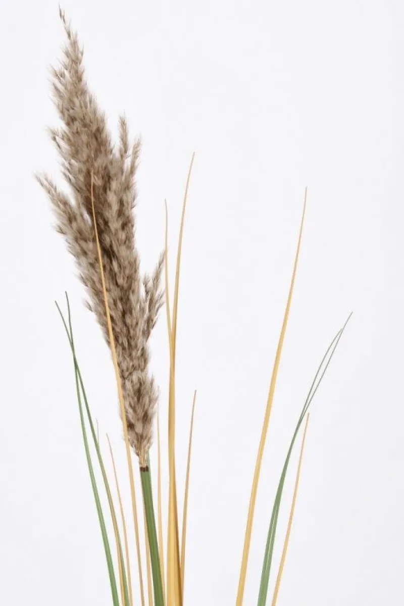 Outlet Bizzotto RAMO GYNERIUM PAMPAS H110