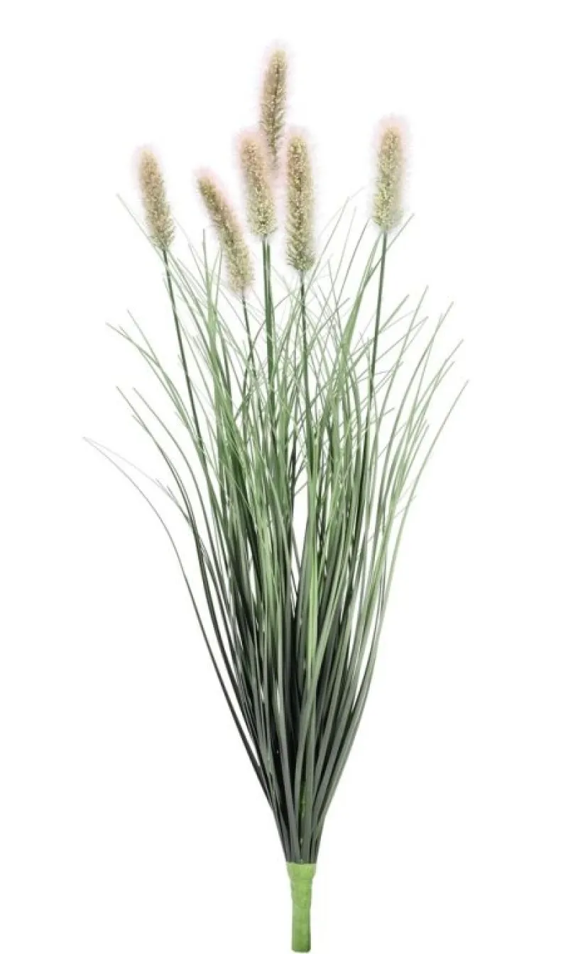 Discount Bizzotto RAMO PENNISETUM H60